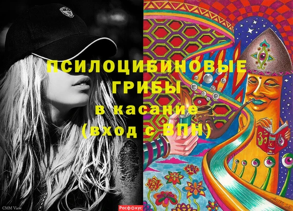 spice Горно-Алтайск