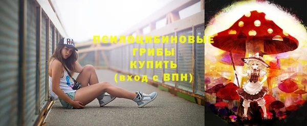 spice Горно-Алтайск