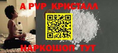 СК Камень-на-Оби