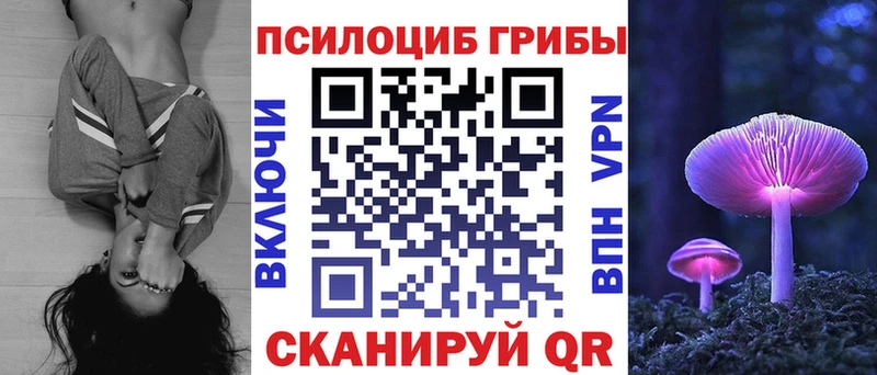 Галлюциногенные грибы GOLDEN TEACHER кракен ссылки Дальнереченск