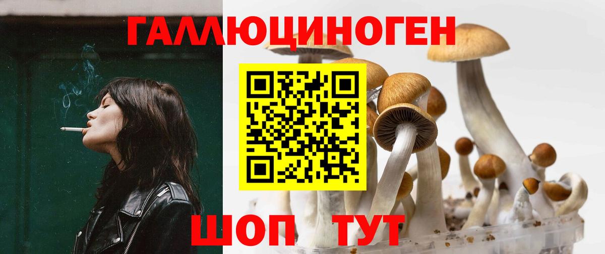 Псилоцибиновые грибы MAGIC MUSHROOMS  Псилоцибиновые грибы Magic Shrooms  Вход с VPN  Дальнереченск 